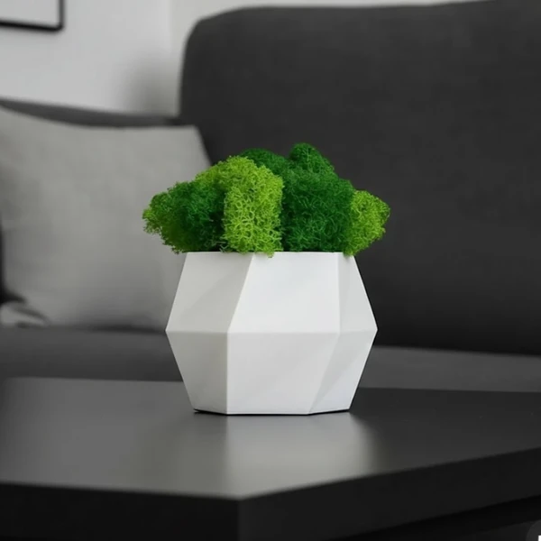 Hexagon Vase with Iceland Moss – Handcrafted Decor