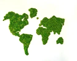 World map made of vibrant green textured moss on a plain white background.