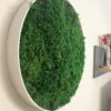 Round wall art by Ekomoss made of vibrant green, preserved fern moss in a simple white frame against a neutral background.