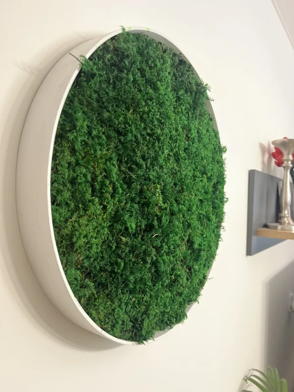 Round wall art by Ekomoss made of vibrant green, preserved fern moss in a simple white frame against a neutral background.
