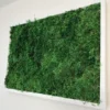 Rectangular Moss Wall Art from Ekomoss made of dense fern moss in a high-quality white solid wood frame.