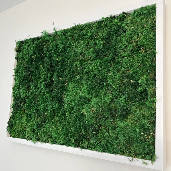 Rectangular Moss Wall Art from Ekomoss made of dense fern moss in a high-quality white solid wood frame.