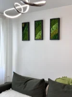 Dreiteiliges Moosbild-Set an einer weißen Wand über einem Sofa mit Kissen, beleuchtet von einer modernen Deckenleuchte.
