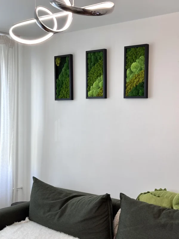 Dreiteiliges Moosbild-Set an einer weißen Wand über einem Sofa mit Kissen, beleuchtet von einer modernen Deckenleuchte.