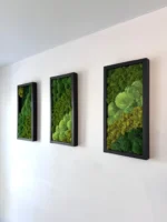 Drei rechteckige Moosbilder mit schwarzen Holzrahmen in perspektivischer Ansicht an einer weißen Wand.