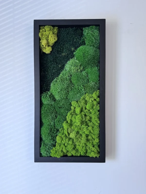 Hochkantiges Moosbild mit schwarzem Holzrahmen, gestaltet mit dunkelgrünem Waldmoos und hellgrünem Kugelmoos.