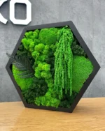 Hexagonal moss art with fern in a black wooden frame, standing on a wooden table against a gray wall.