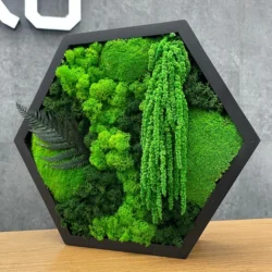 Hexagonal moss art with fern in a black wooden frame, standing on a wooden table against a gray wall.
