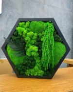 Hexagonal moss art with fern and black frame, placed on a wooden board against a gray wall.