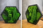 Hexagonal moss art with green Iceland moss, bun moss, and fern in a black wooden frame from two perspectives.