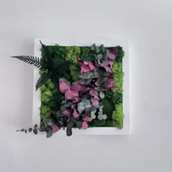 Square plant wall art with moss, eucalyptus leaves, and fern in a frame on the wall.