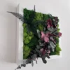 IMG_8681_result Square moss art with green reindeer moss, dark fern leaves, and red eucalyptus branches in a white frame.