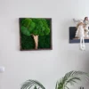 IMG_9004_result Square moss tree wall art made from bun moss and flat moss with a wood trunk in a dark wooden frame on a white wall.