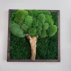 Wall art with moss tree made from stabilized moss and wood trunk in a wooden frame.