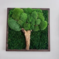 Wall art with moss tree made from stabilized moss and wood trunk in a wooden frame.