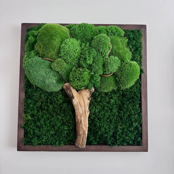 IMG_9005_result Wall art with moss tree made from stabilized moss and wood trunk in a wooden frame.