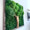 IMG_9006_result Square moss tree wall art with bun moss, flat moss, and a wood trunk, in a dark brown wooden frame on a white wall.