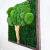 IMG_9008_result Moss tree made from bun moss and flat moss with a light wood trunk in a brown wooden frame on a white wall.