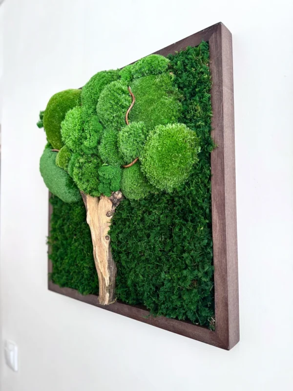 IMG_9008_result Moss tree made from bun moss and flat moss with a light wood trunk in a brown wooden frame on a white wall.