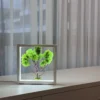 IMG_9057_result Moss Bonsai in white wood frame with LED lighting, light green moss, on light table in front of window.