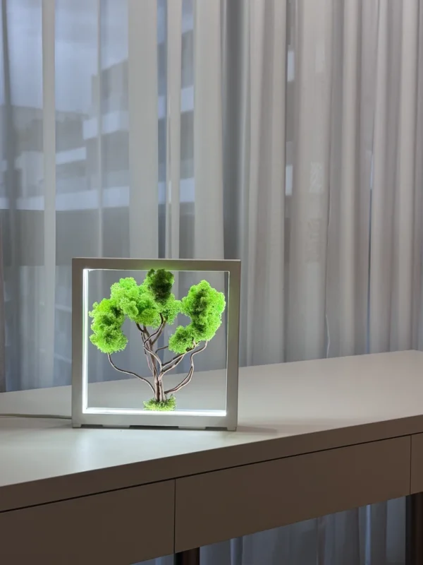 IMG_9057_result Moss Bonsai in white wood frame with LED lighting, light green moss, on light table in front of window.