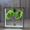 IMG_9059_result Moss Bonsai with light green moss in white wood frame with LED lighting on light table.