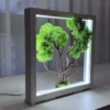 IMG_9061_result Moss Bonsai with spring green moss in white wood frame, internally lit, on table.