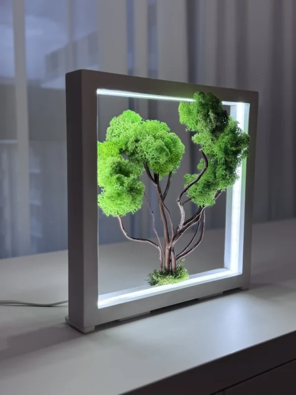 IMG_9061_result Moss Bonsai with spring green moss in white wood frame, internally lit, on table.