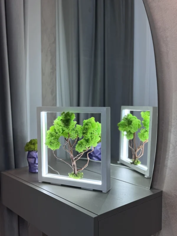 IMG_9064_result Light green Moss Bonsai with LED lighting in white wood frame on gray table, reflected.