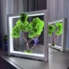 IMG_9070_result Green Moss Bonsai from moss in white wood frame with LED lighting, on table with reflection.