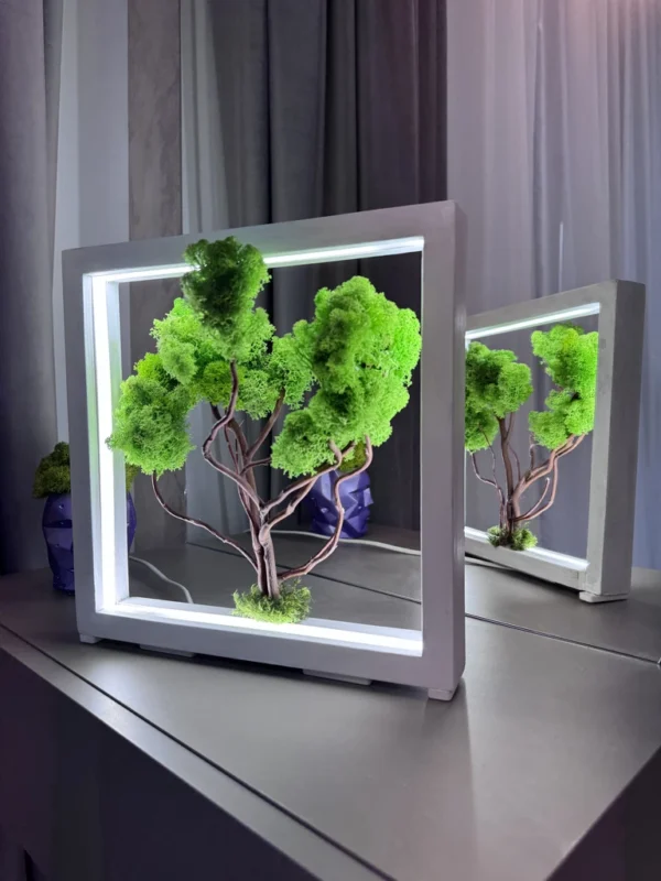 IMG_9070_result Green Moss Bonsai from moss in white wood frame with LED lighting, on table with reflection.