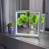 IMG_9071_result Moss Bonsai with spring green moss in white wood frame with LED lighting, next to purple pot.