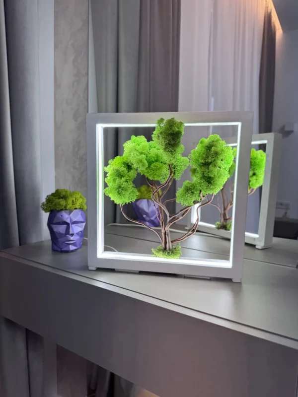 IMG_9071_result Moss Bonsai with spring green moss in white wood frame with LED lighting, next to purple pot.