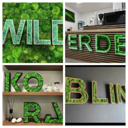Collage of moss-filled letters with wooden and black frames, displayed on walls, shelves, and counters.