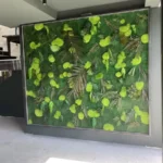 Moss and Palm Leaves