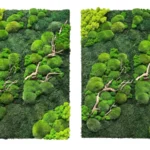 Mix of Moss and Driftwood