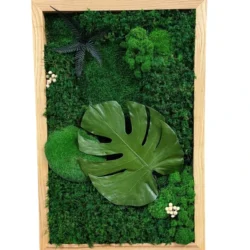 Monstera Wall Art made of moss and plants with a Monstera leaf in a wooden frame.
