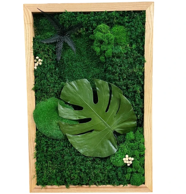 Monstera-Wandbild-mit-echtem-Moos_result Monstera Wall Art made of moss and plants with a Monstera leaf in a wooden frame.