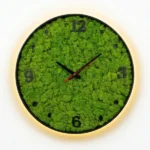 Wall clock with moss and LED in a round frame with a dial and glowing backlight.