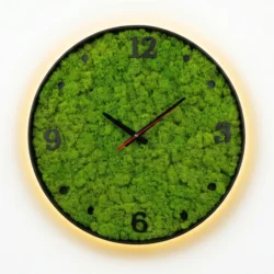 Wall clock with moss and LED in a round frame with a dial and glowing backlight.