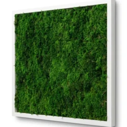 Moss Wall Art with Fern Moss from Ekomoss