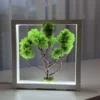 Moosbild-mit-LED-–-Dekobaum-im-Holzrahmen Illuminated Moss Bonsai with LED – Handcrafted Decorative Tree from Preserved Moss in Wood Frame