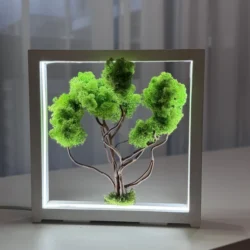 Illuminated Moss Bonsai with LED – Handcrafted Decorative Tree from Preserved Moss in Wood Frame