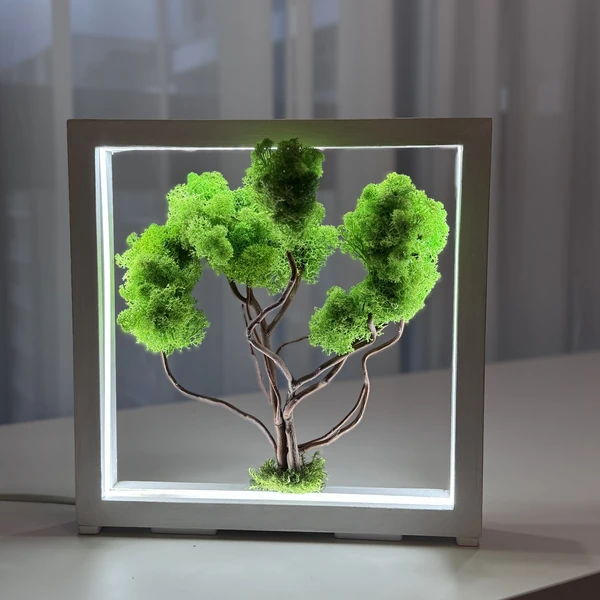Moosbild-mit-LED-–-Dekobaum-im-Holzrahmen Illuminated Moss Bonsai with LED – Handcrafted Decorative Tree from Preserved Moss in Wood Frame