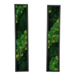 Two narrow, vertical moss wall art pieces with stabilized moss and fine branches in rectangular frames