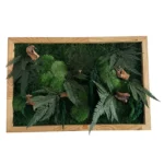 Moss, Wood, and Fern