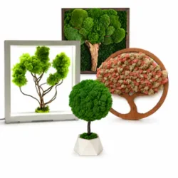 Four moss tree art pieces: two framed green moss trees, a small potted moss tree, and a circular wooden moss tree.