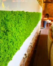 Green textured moss wall panel on a white base, blurred indoor background.