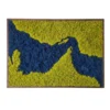 ORMPRTISYB_result Strait of Hormuz Moss Art: Green land, blue water, wood frame.