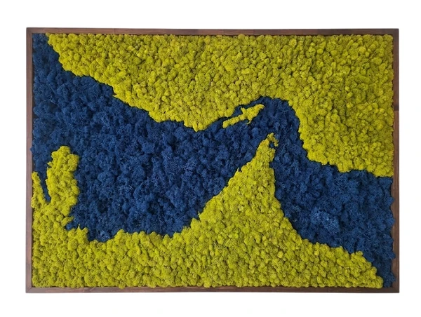 ORMPRTISYB_result_1 Strait of Hormuz Moss Art: Green land, blue water, wood frame.